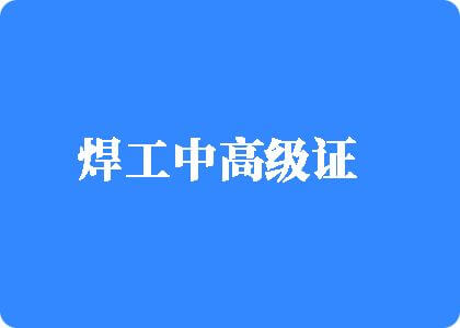 中文字幕免费视频焊工中高级证